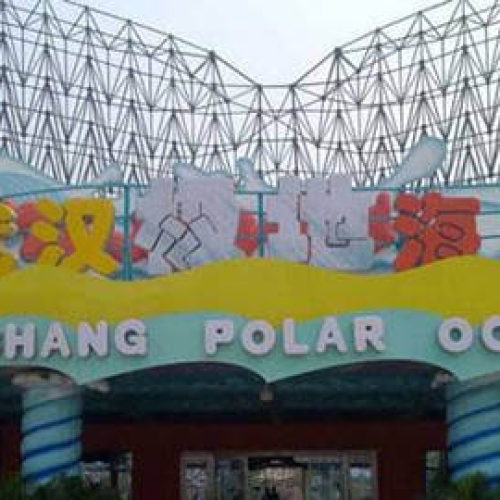 武汉极地海洋世界案例